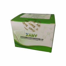 呼吸道病原體系列