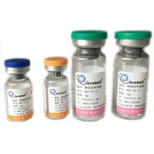 大腸埃希菌（1ml）