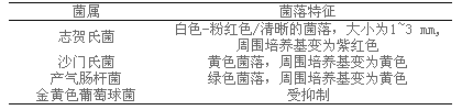 志賀氏菌顯色培養基
