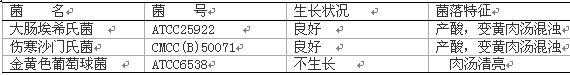 腸道菌增菌肉湯