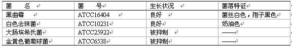 沙氏瓊脂培養基